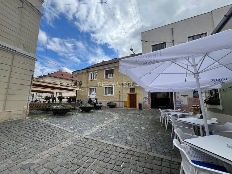 De vânzare apartament ultracentral - 11
