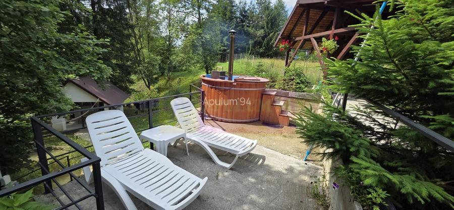 Vila din padure in Valea Doftanei - 40