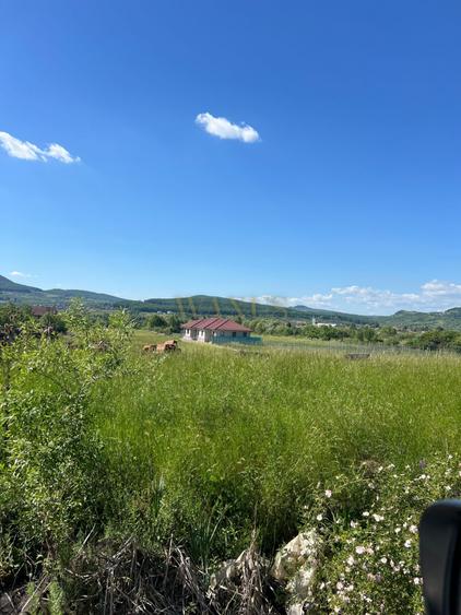Oportunitate de investitie,Valea ghinzii,Teren de 1,2 Hectare