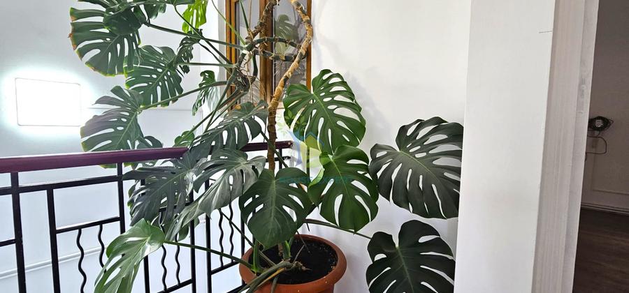 Apartament in vila, 4 camere, nemobilat, zona Hala Traian/Calarasilor