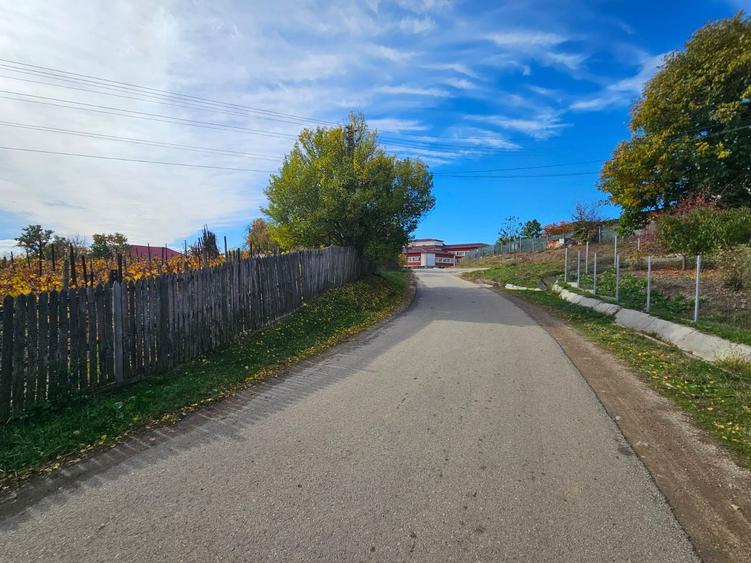 Teren intravilan 1000 mp, utilități, lângă Spital Călinești