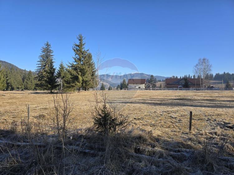 Teren 3,266mp Dorna-Arini / Drumul ORTOAIA - PODIREI