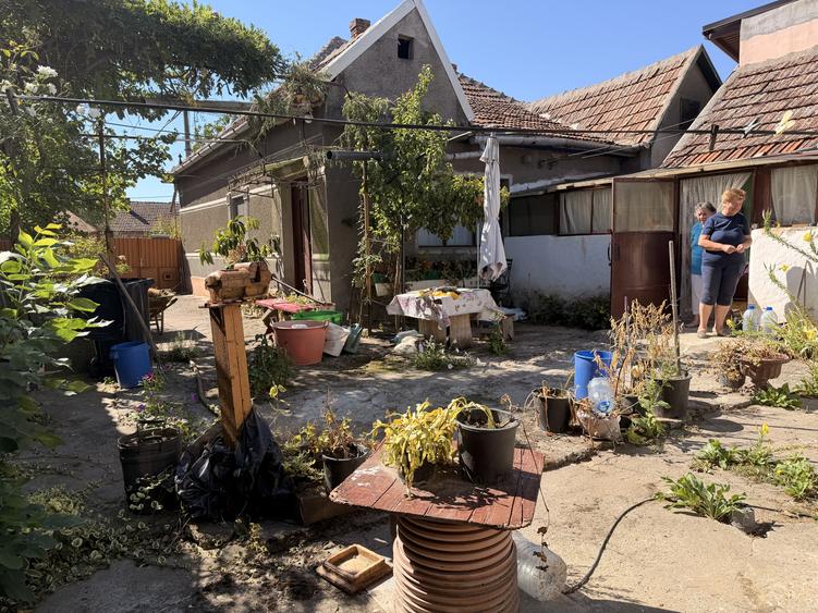 Casa individuala, 200 mp utili, 1005 mp gradina , anexe - Sag