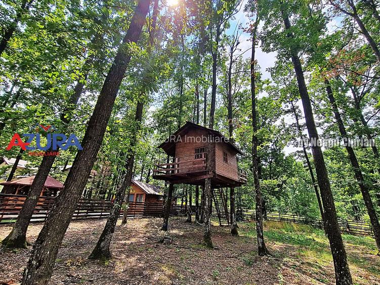 Casă de vacanță în pădure, 10 km de Pitești - Babana - 16