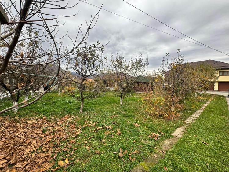 CASĂ DE VIS SAU AFACERE DE SUCCES – BAIA SPRIE