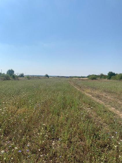 DN1  Snagov  - Peris Niculesti  Vanzare Teren intravilan