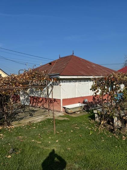 Casa cu 807 mp teren de vanzare, SERBANESTI,  str. Spicului-Bacau - 4