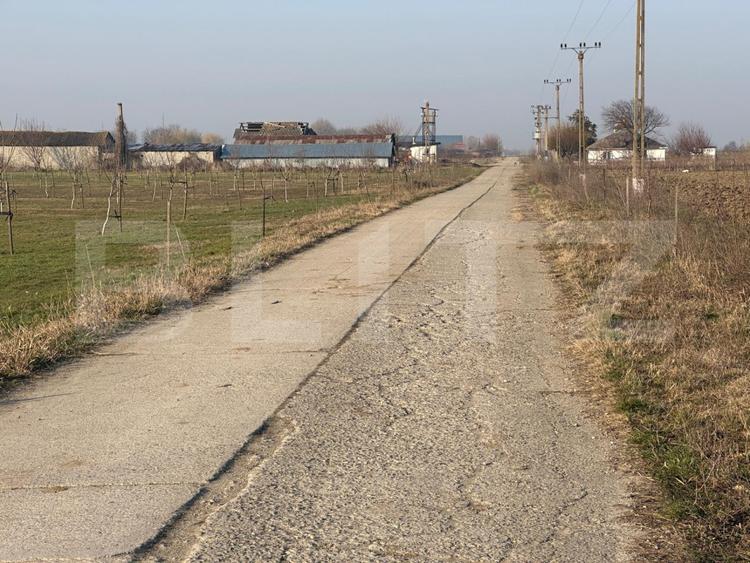 Ferma de nuci - teren agricol, zona Ivesti