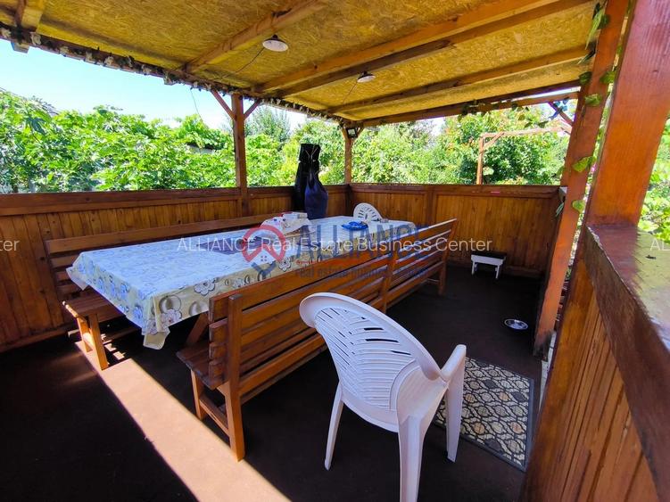 VIILE NOI - casa cu o curte generoasa disponibila imediat - 20