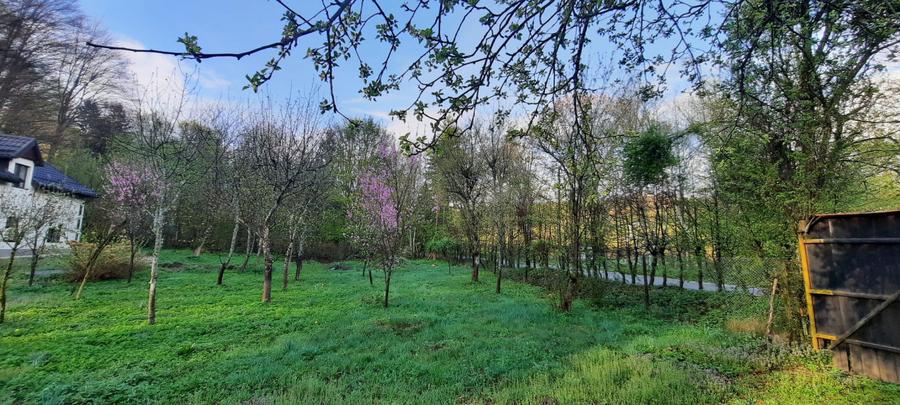 Cabana 4 camere zona Valea Avrigului