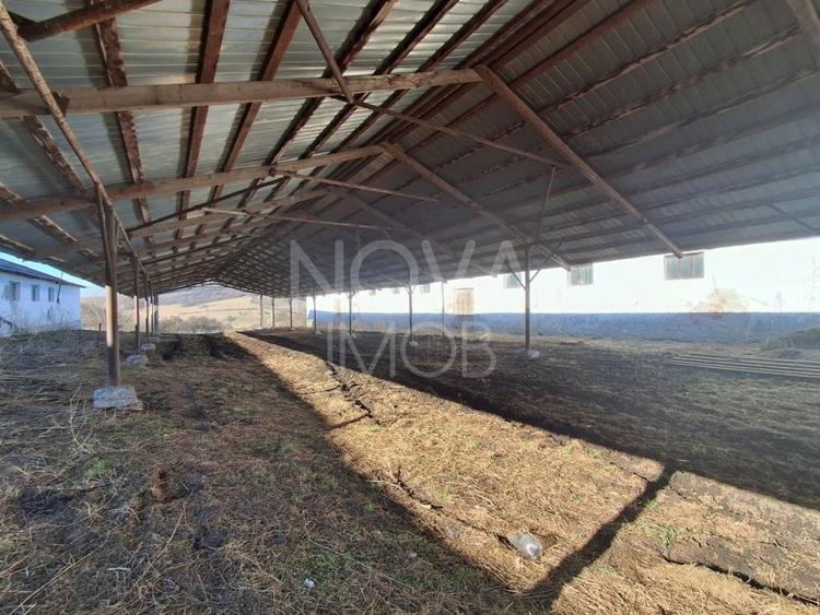 Ferma complet echipata de vanzare – zona Agnita, judetul Sibiu