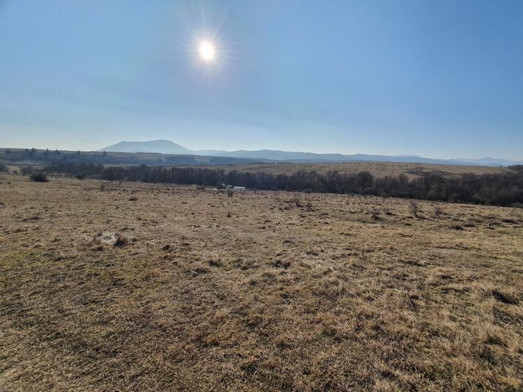 Teren Codlea – Vladeni zona de case cu Puz