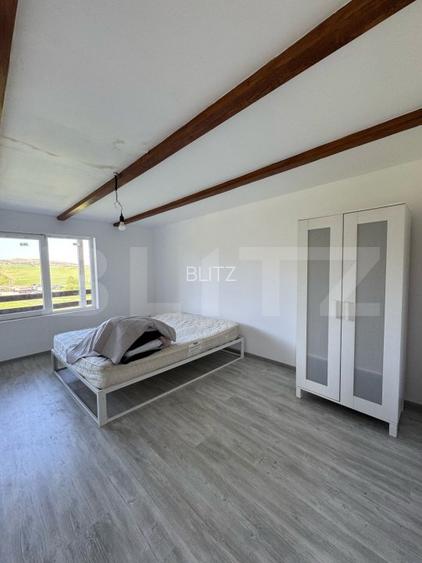 Cabana CHEILE TURZII, teren 8700 mp, priveliste superba - 7