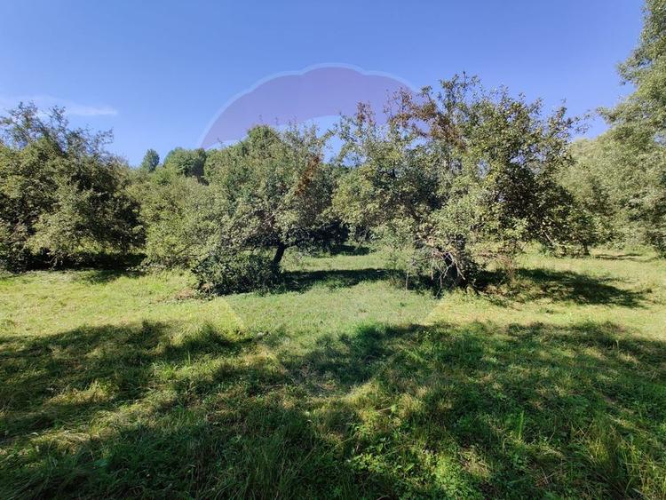 Teren intravilan in Remetea Chioarului