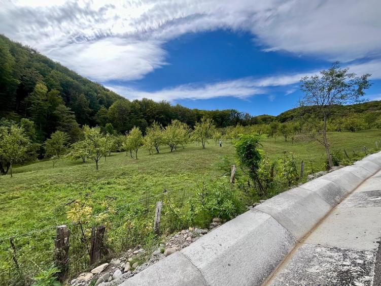 Teren 9.800 mp – Investiție ideală în mijlocul naturii | 10€/mp - Comision 0%