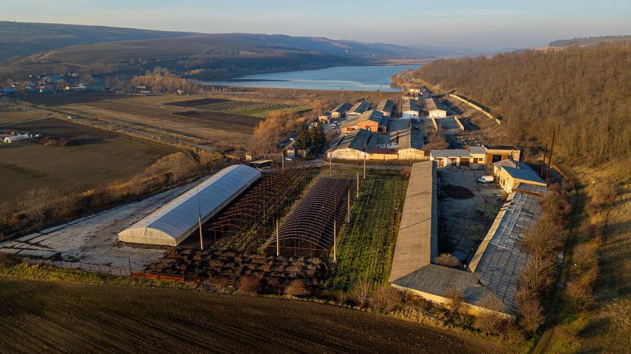 Fosta Ferma a Partidului de la Horgesti - de vanzare