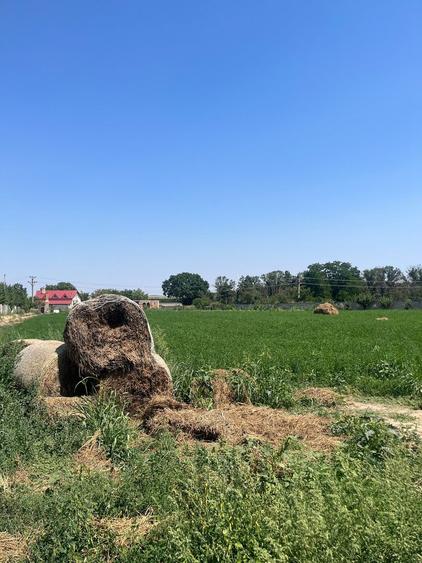 Fermă colectare și îngrașare animale judet Constanta