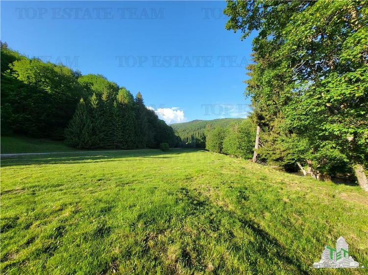 Teren Intravilan 12000 mp, Cascada Urlatoarea, proiect aprobat pentru Resort, la