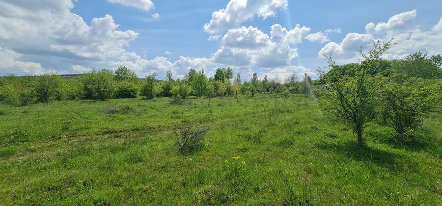 Teren 1500 mp pe str Paltinului, Valea Ghinzii , extravilan Bistrita