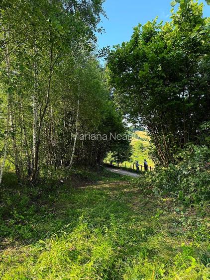 Teren Poiana Mărului Brașov,  PUZ, 11600mp, pe ruta via Transilvanica - 7