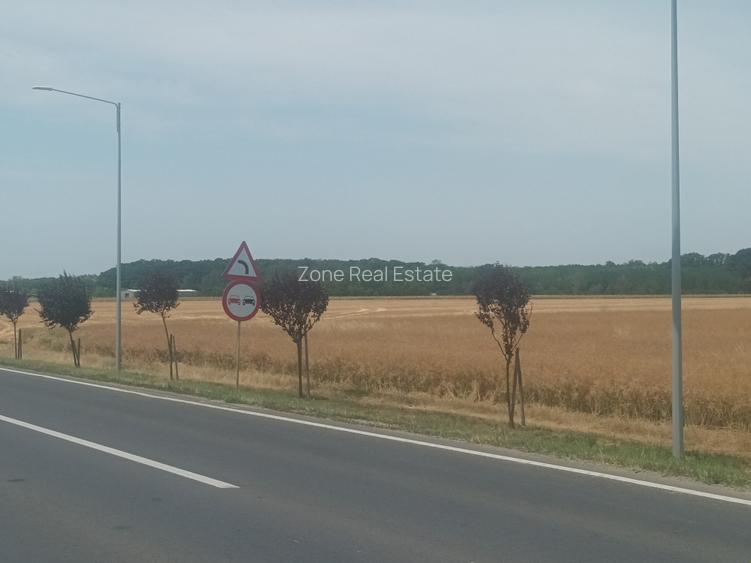 Teren Vanzare Intravilan Branesti - Investitie Zona Industriala Vis a Vis Makita - 22