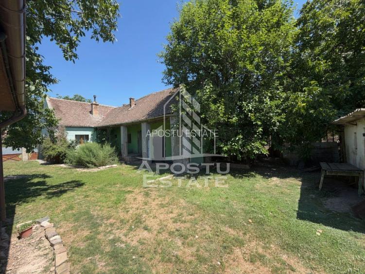 Casa + constructie moderna,de vanzare,2 locuinte,teren 2298 mp Giulvaz - 5