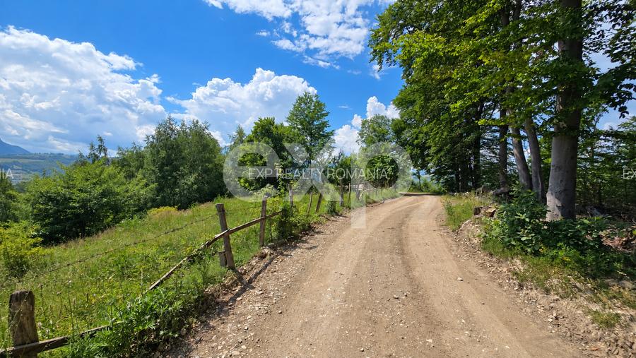 Teren de 4000 mp cu potențial - 3