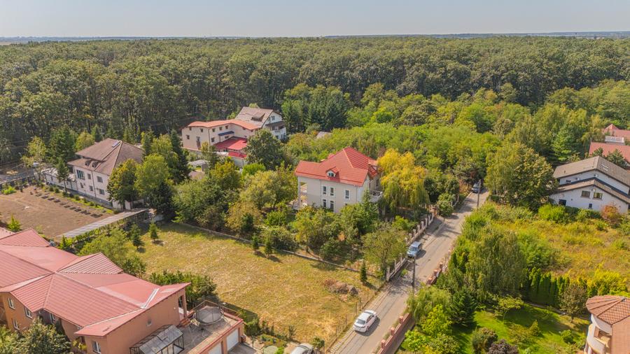 Teren strada Rozelor, toate utilitatile la limita de proprietate, asfalt