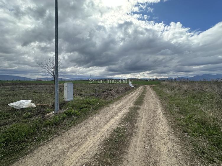 Teren intravilan 520 mp Harman - 4