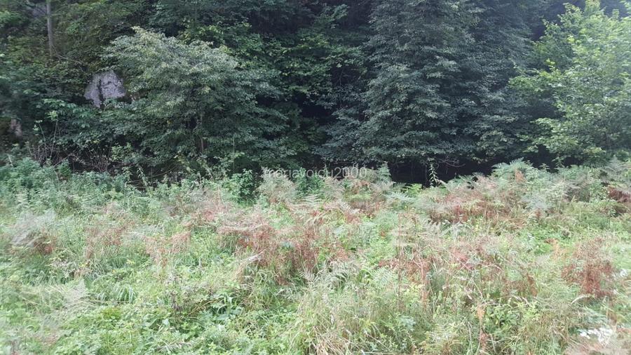     Teren intravilan într-una dintre cele mai frumoase zone montane din România - 5