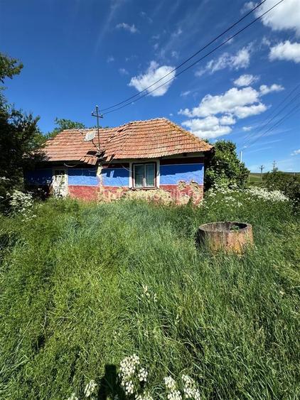 Casa de vanzare l Straja l Teren + Casa 1000 MP l Extravilan 8396 MP