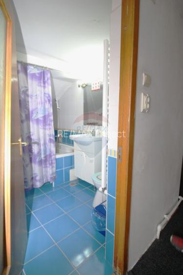 Vilă 7 camere, 336 mp, Drumul Taberei, locuire și investiție - 22