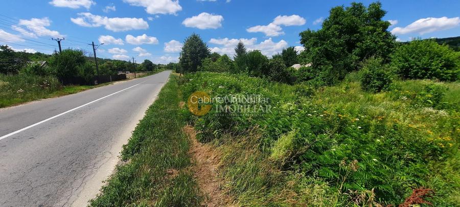 🌳 🌞🌿 TEREN INTRAVILAN  2800 mp - 30 Euro/mp  - RATE LA  NOTARIAT  ! 🌳🌞🌿 - 6