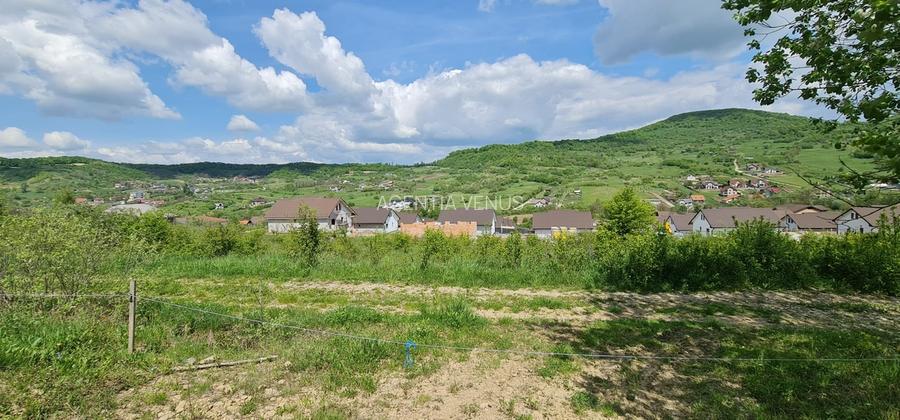 Teren 1500 mp pe str Paltinului, Valea Ghinzii , extravilan Bistrita - 2