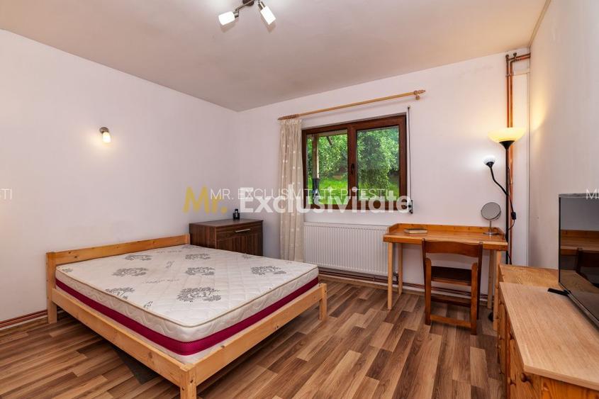 Casa moderna si casa bunicii + 6300 mp teren,Oaza autentica in Corbi Arges- - 7