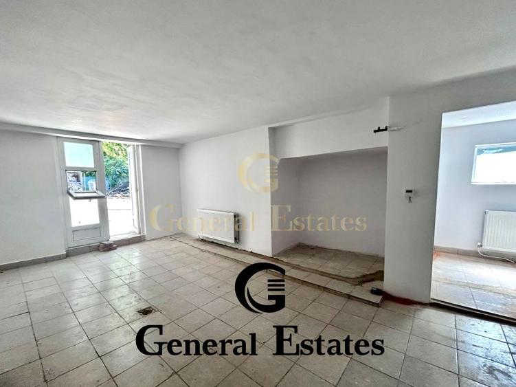 Chirie Spatiu Comercial cu Terasa in Copou 140 mp - 12