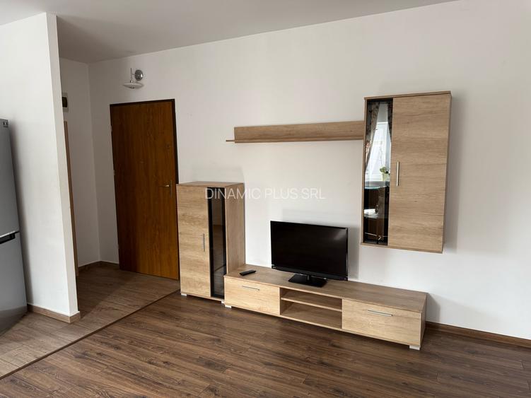 APARTAMENT LUX IN SELIMBAR - 31