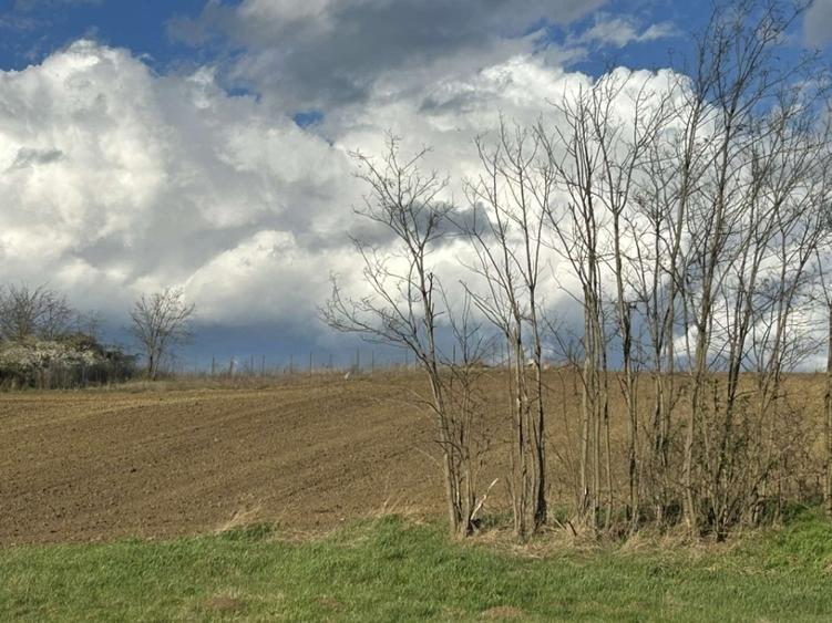 ULTIMELE Parcele 10000euro în extravilan Rediu Iași, 1.3km de Primărie, 424mp