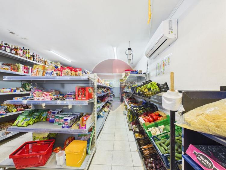 Casa cu 5 camere si magazin alimentar, functional, teren 1715 mp - 28