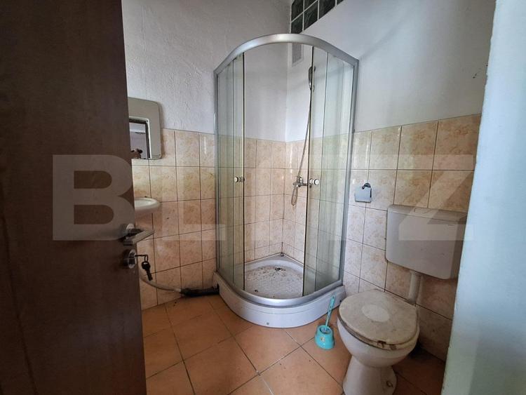 Proprietate de cazare, spatii comerciale, Lugoj