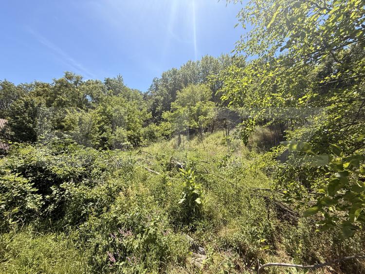 Teren intravilan 4.542 mp la principală, front 37 m, Leamna de Jos