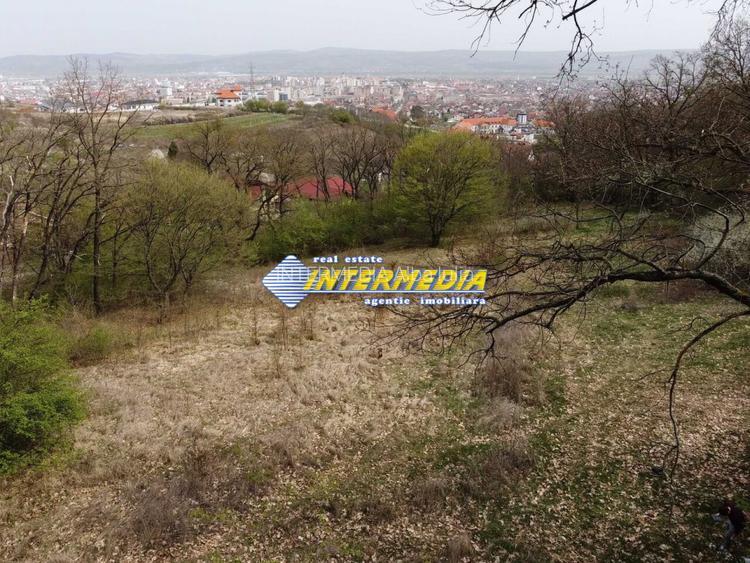 TEREN Intravilan pentru div Motel Pensiune Clinica locuinta in mijlocul padurii - 2