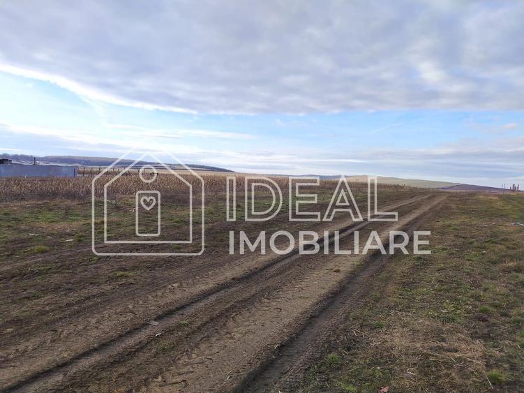 Teren intravilan parcelat – Șura Mică
