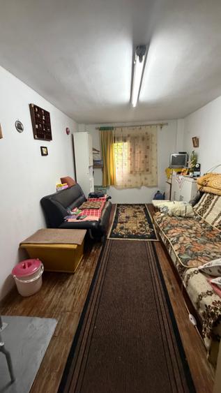 Casa de vinificatie in Viile Tieamului Carei