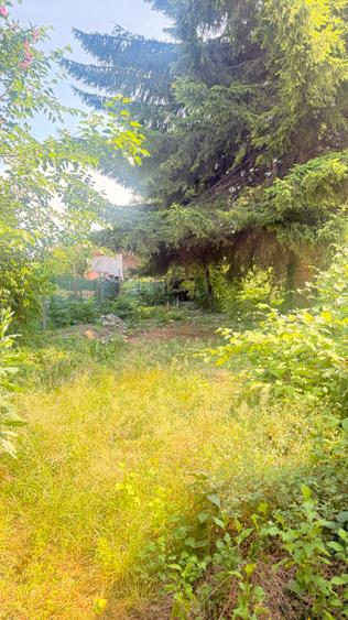 Casă Centrul Vechi Istoric Baia Mare – teren 385 mp!
