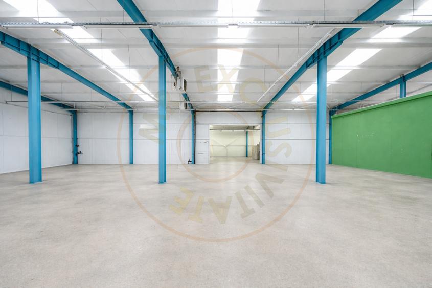 Hala industriala / spatiu comercial – VANZARE – DN 65B – Bradu-Pitesti!
