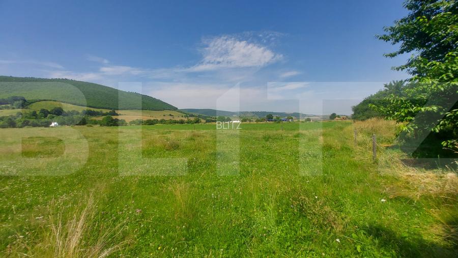 Casa + teren intravil, 3.6 ha I Zagon I Potential turistic si investitional - 11