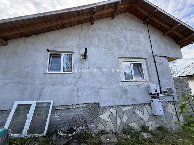 2 Case + teren 1390 mp langa parcul central Provita de Sus - 51