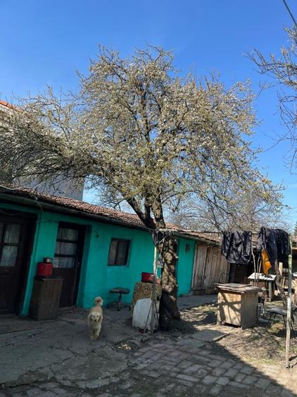 Proprietar, vând teren intravilan 997 mp, MEHALA, str. MOISE DOBOȘAN, preț NEGOC