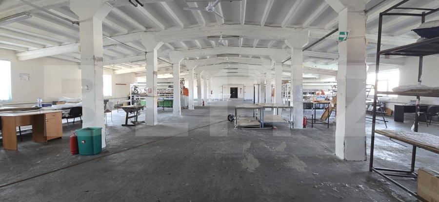 Hală producție/depozitare, de vanzare, 2600 mp, zona Bariera Vâlcii - 3